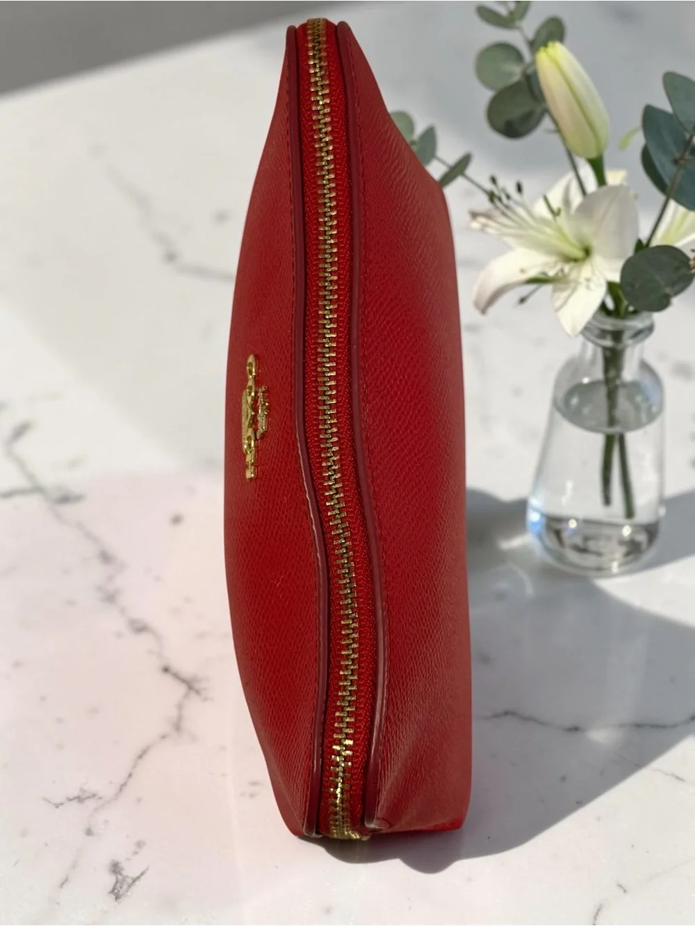 Coach structured cosmetic